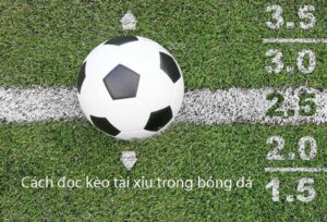 Cách đọc kèo tài xỉu: Hướng dẫn chi tiết cho người mới bắt đầu