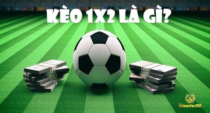 Theo dõi biến động kèo là yếu tố then chốt để đọc kèo tài xỉu hiệu quả và đón đầu xu hướng trận đấu.