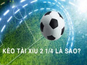 Kèo tài xỉu 2 1 4: Chiến thuật thắng kèo hiệu quả 2025