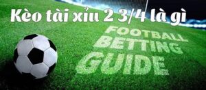 Kèo tài xỉu 2 3 4 chi tiết từ cách chơi, chiến thuật thắng lợi 2025