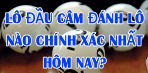 Lô đầu 1 câm thì đánh con gì? Bí quyết chọn số chuẩn xác 2025