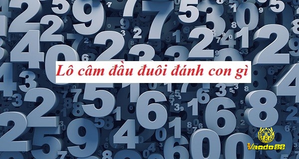 Lô đầu 1 câm thì đánh con gì cần hiểu ý nghĩa của hiện tượng trong hệ thống xổ số