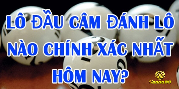 Phân tích thống kê cho thấy khi lô đầu 1 câm thì đánh con gì hiệu quả nhất thường dựa vào nguyên tắc cân bằng