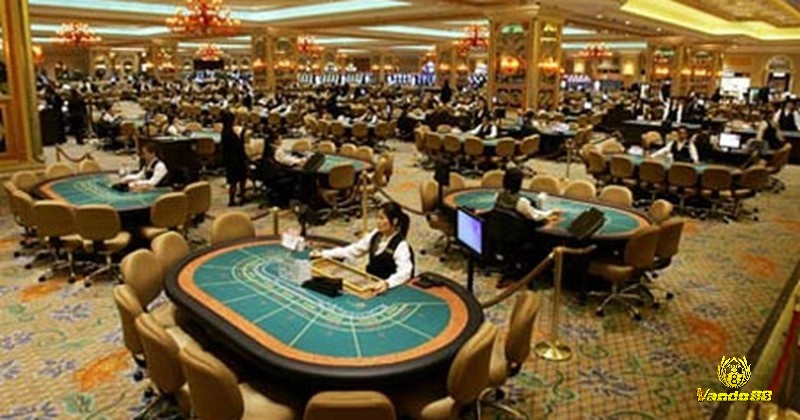 Mẹo chơi game bài hiệu quả - Hiểu rõ luật và đặc điểm từng game giúp bạn đưa ra quyết định chính xác
